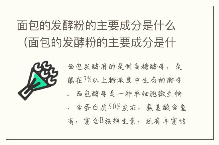 面包的发酵粉的主要成分是什么（面包的发酵粉的主要成分是什么呢）
