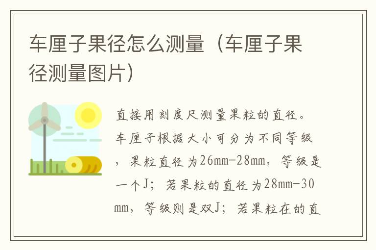 车厘子果径怎么测量（车厘子果径测量图片）