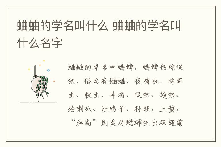 蛐蛐的学名叫什么 蛐蛐的学名叫什么名字