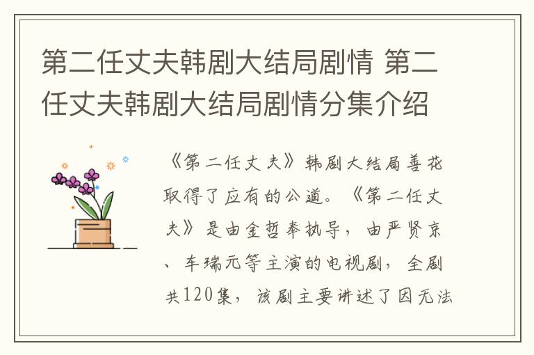 第二任丈夫韩剧大结局剧情 第二任丈夫韩剧大结局剧情分集介绍