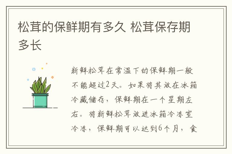 松茸的保鲜期有多久 松茸保存期多长