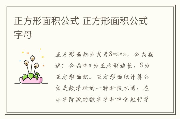 正方形面积公式 正方形面积公式字母