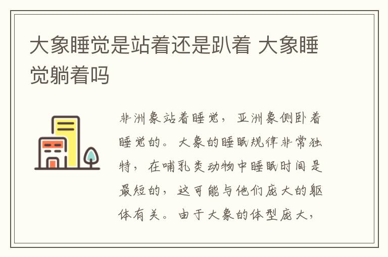 大象睡觉是站着还是趴着 大象睡觉躺着吗