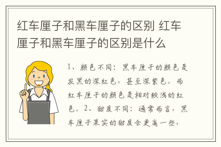红车厘子和黑车厘子的区别 红车厘子和黑车厘子的区别是什么
