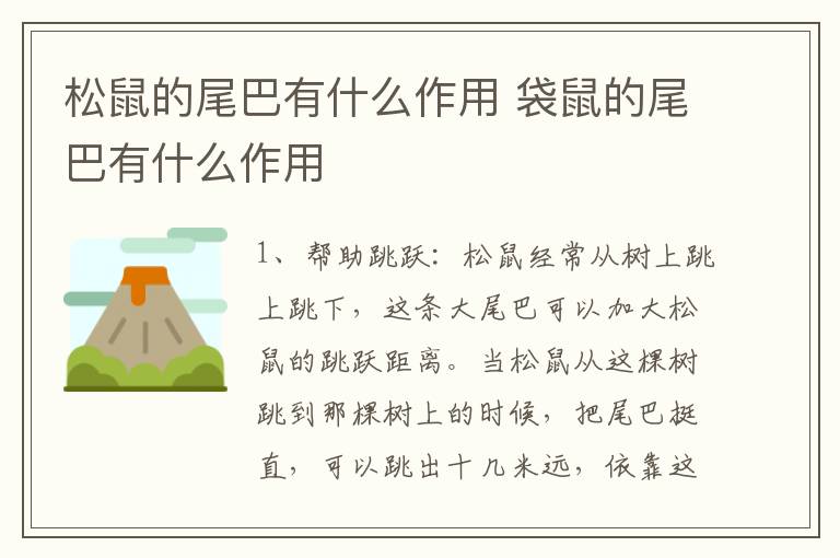松鼠的尾巴有什么作用 袋鼠的尾巴有什么作用