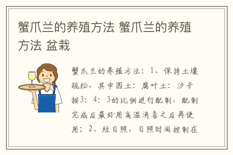 蟹爪兰的养殖方法 蟹爪兰的养殖方法 盆栽
