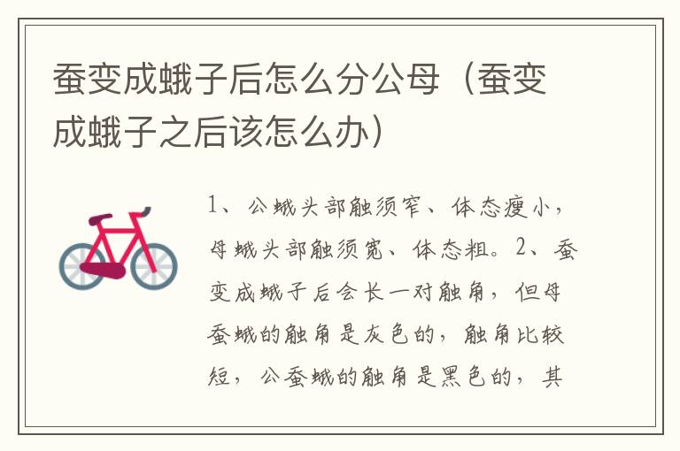 蚕变成蛾子后怎么分公母（蚕变成蛾子之后该怎么办）