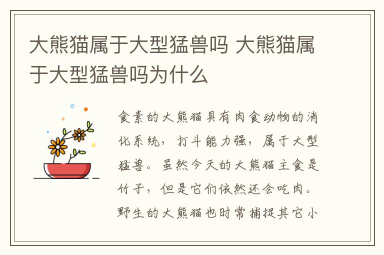 大熊猫属于大型猛兽吗 大熊猫属于大型猛兽吗为什么