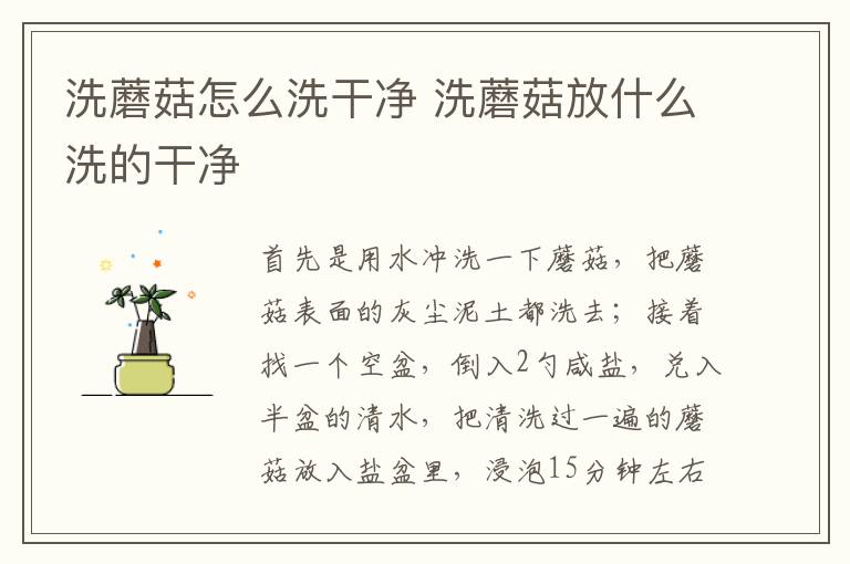 洗蘑菇怎么洗干净 洗蘑菇放什么洗的干净