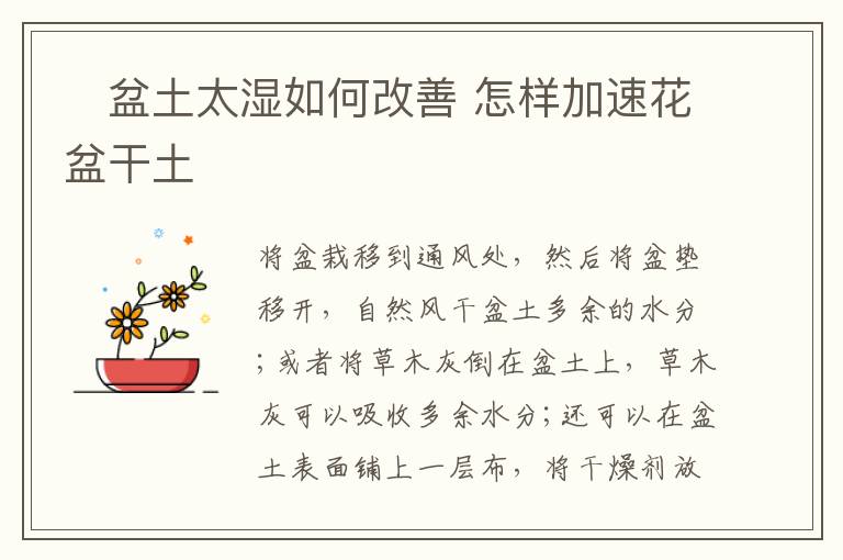 ​盆土太湿如何改善 怎样加速花盆干土