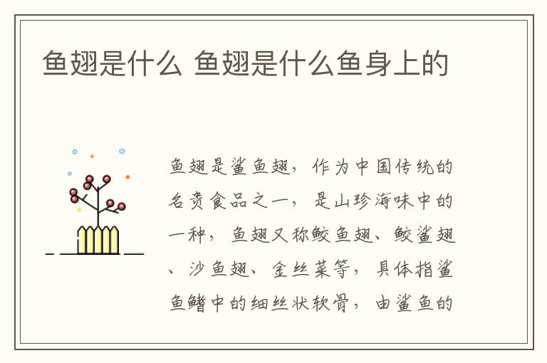 鱼翅是什么 鱼翅是什么鱼身上的