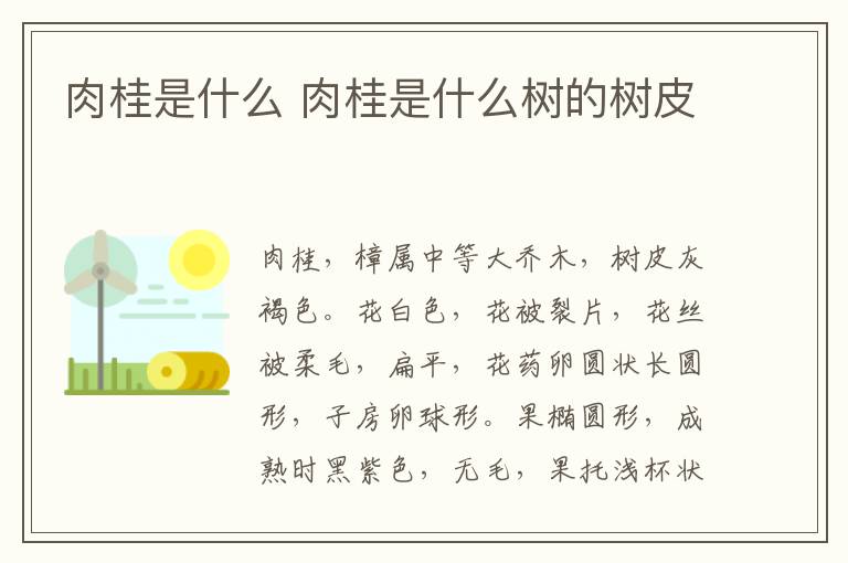 肉桂是什么 肉桂是什么树的树皮