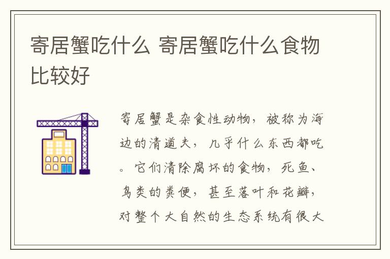 寄居蟹吃什么 寄居蟹吃什么食物比较好