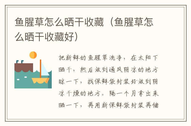 鱼腥草怎么晒干收藏（鱼腥草怎么晒干收藏好）