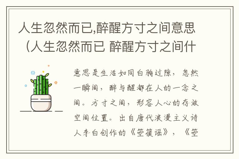人生忽然而已,醉醒方寸之间意思（人生忽然而已 醉醒方寸之间什么意思）