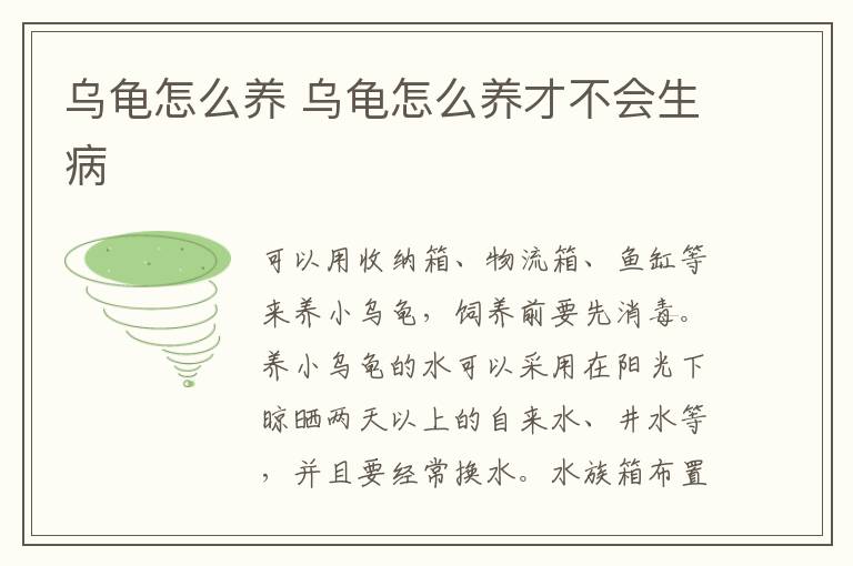 乌龟怎么养 乌龟怎么养才不会生病