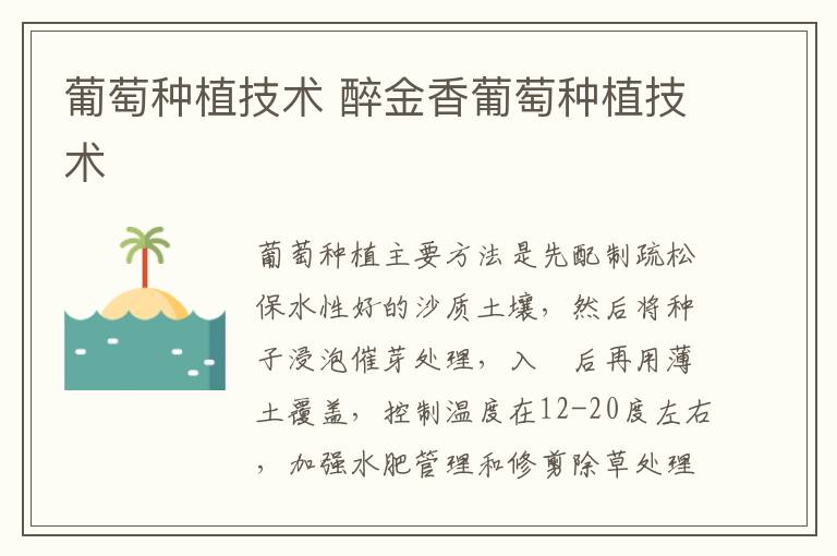 葡萄种植技术 醉金香葡萄种植技术