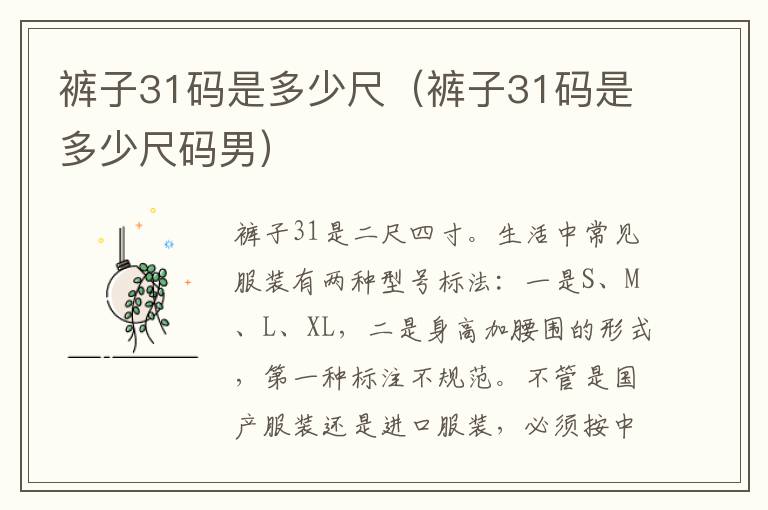 裤子31码是多少尺（裤子31码是多少尺码男）