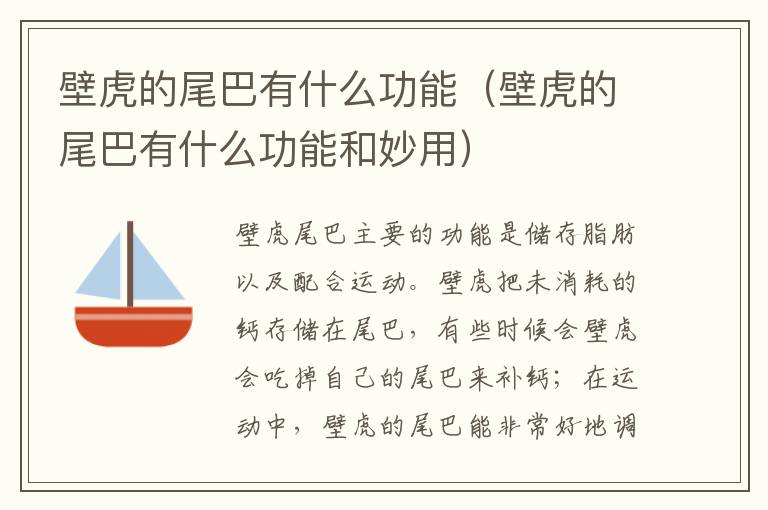 壁虎的尾巴有什么功能（壁虎的尾巴有什么功能和妙用）