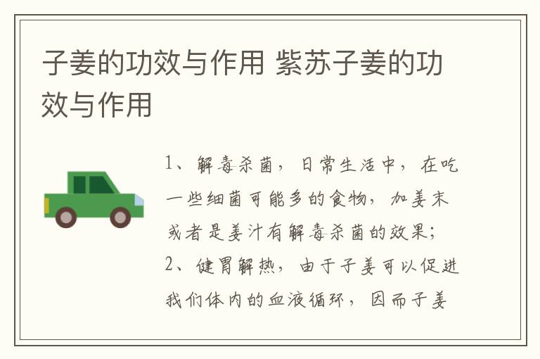 子姜的功效与作用 紫苏子姜的功效与作用