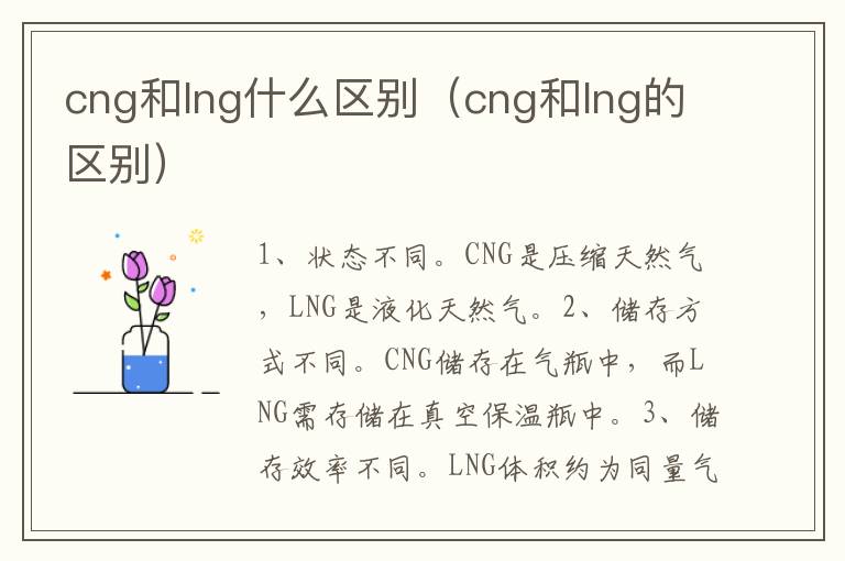 cng和lng什么区别（cng和lng的区别）