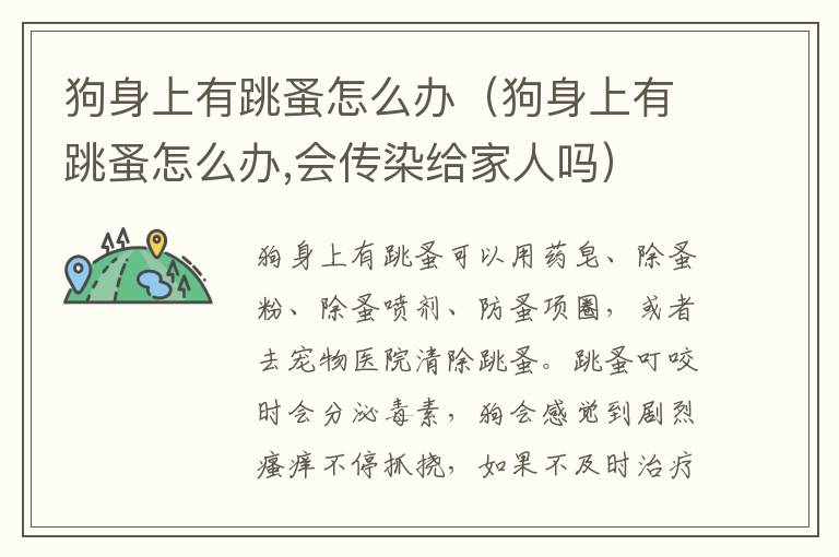 狗身上有跳蚤怎么办（狗身上有跳蚤怎么办,会传染给家人吗）