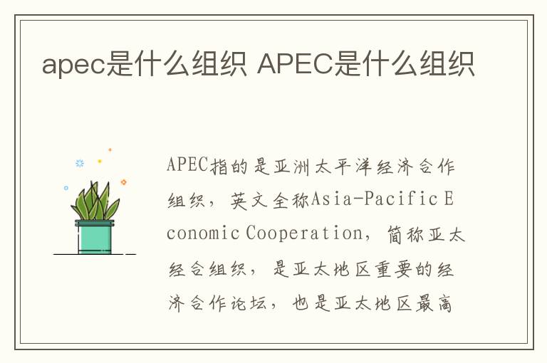 apec是什么组织 APEC是什么组织