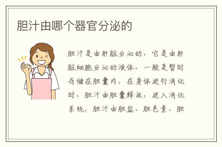 胆汁由哪个器官分泌的
