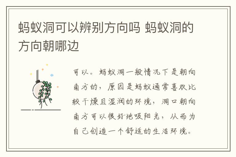 蚂蚁洞可以辨别方向吗 蚂蚁洞的方向朝哪边