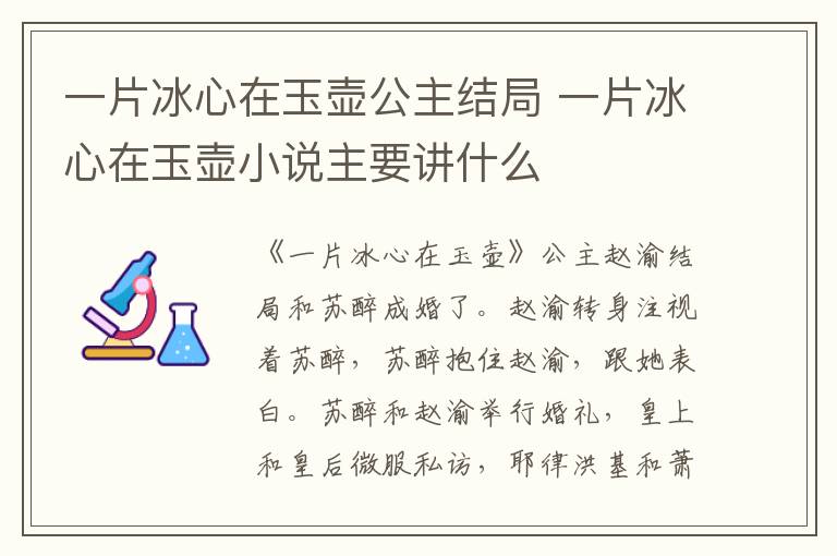 一片冰心在玉壶公主结局 一片冰心在玉壶小说主要讲什么