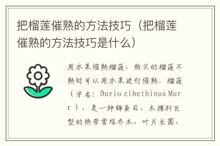 把榴莲催熟的方法技巧（把榴莲催熟的方法技巧是什么）