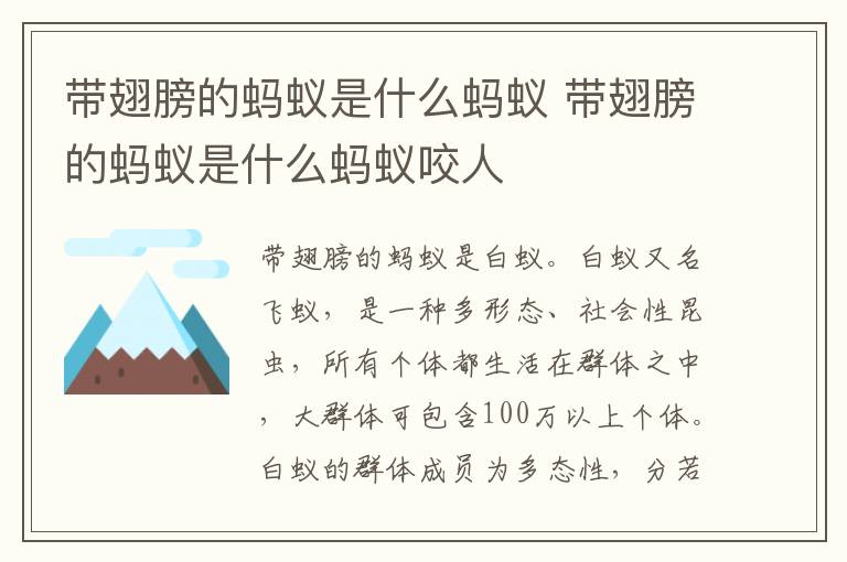 带翅膀的蚂蚁是什么蚂蚁 带翅膀的蚂蚁是什么蚂蚁咬人