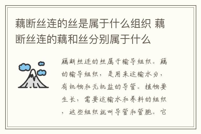 藕断丝连的丝是属于什么组织 藕断丝连的藕和丝分别属于什么