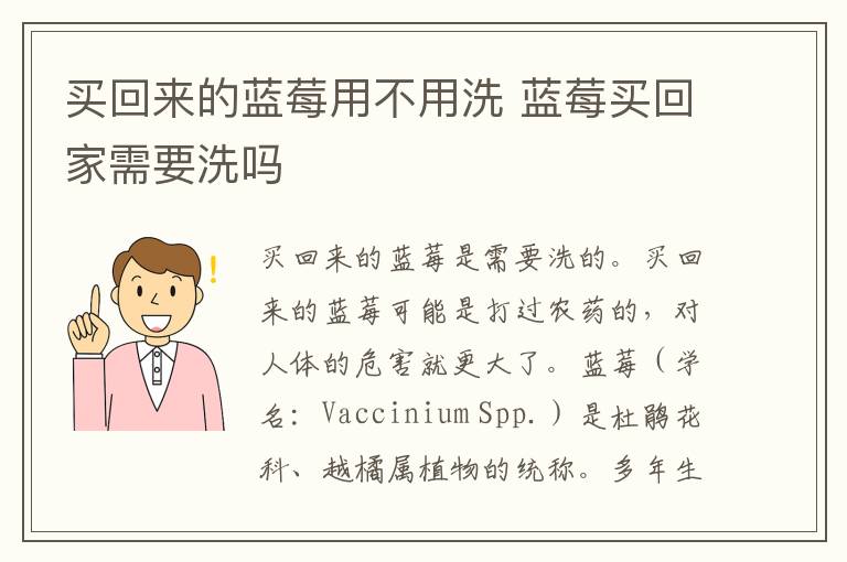 买回来的蓝莓用不用洗 蓝莓买回家需要洗吗