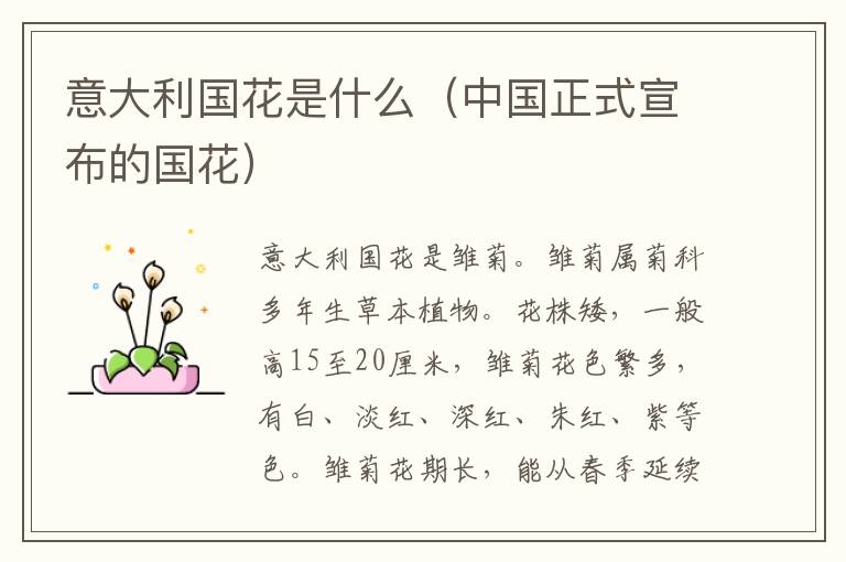 意大利国花是什么（中国正式宣布的国花）