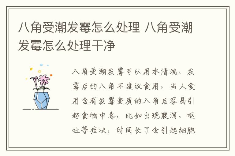 八角受潮发霉怎么处理 八角受潮发霉怎么处理干净
