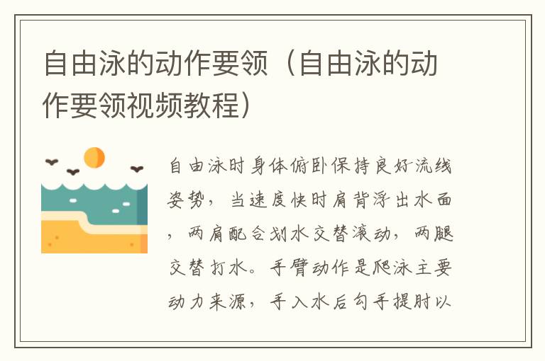 自由泳的动作要领（自由泳的动作要领视频教程）