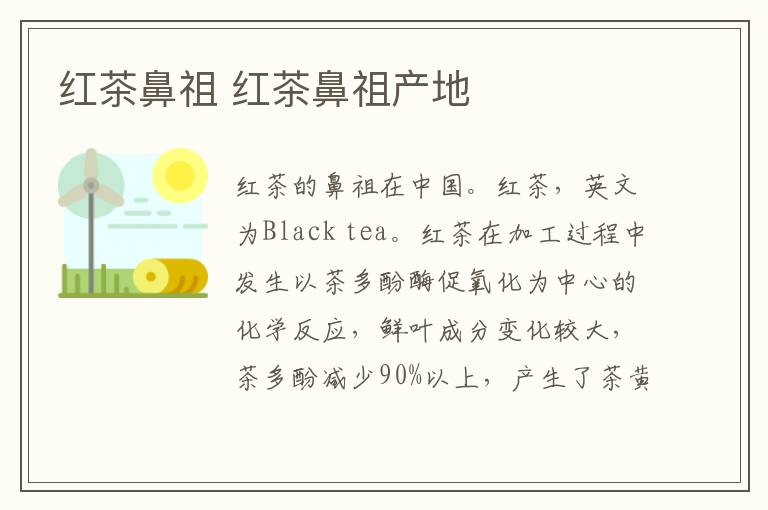红茶鼻祖 红茶鼻祖产地