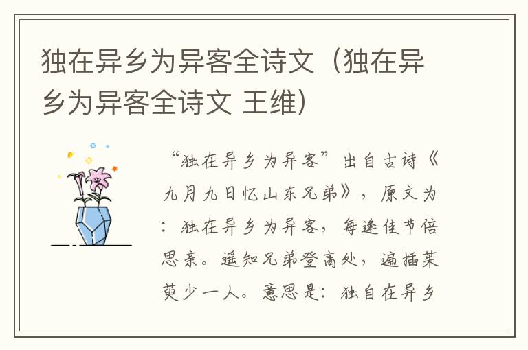独在异乡为异客全诗文(独在异乡为异客全诗文 王维)