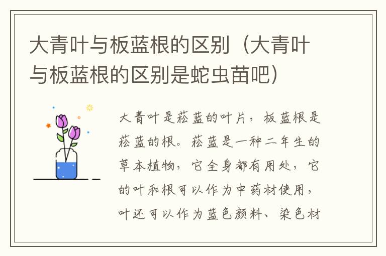大青叶与板蓝根的区别（大青叶与板蓝根的区别是蛇虫苗吧）