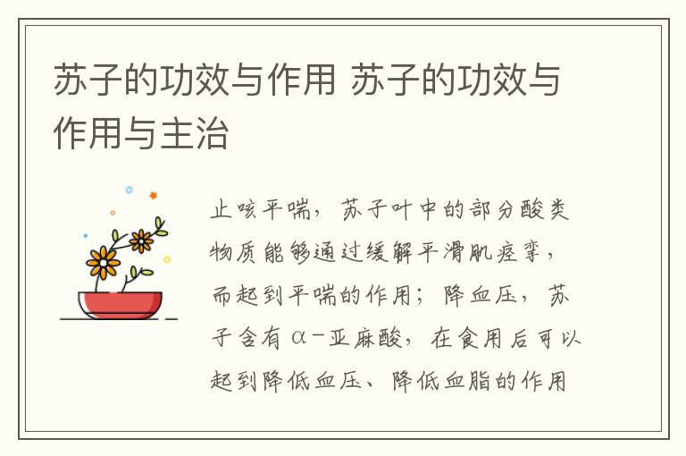 苏子的功效与作用 苏子的功效与作用与主治