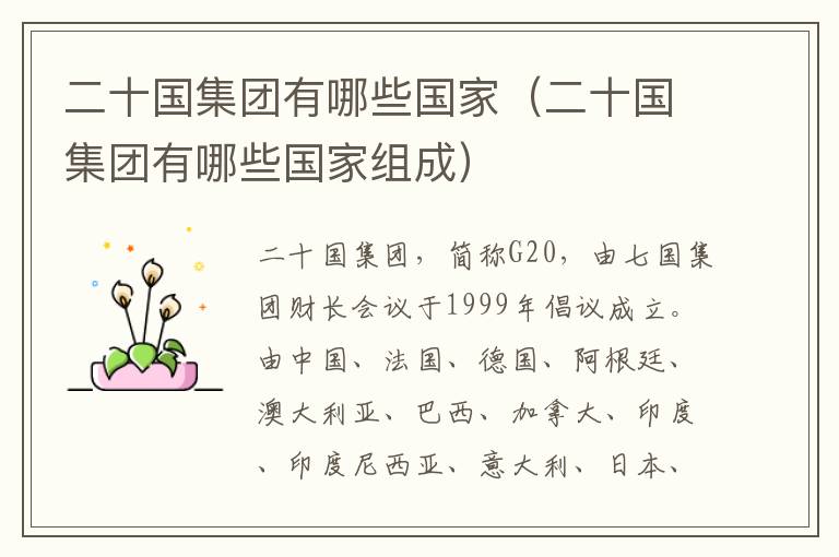 二十国集团有哪些国家（二十国集团有哪些国家组成）