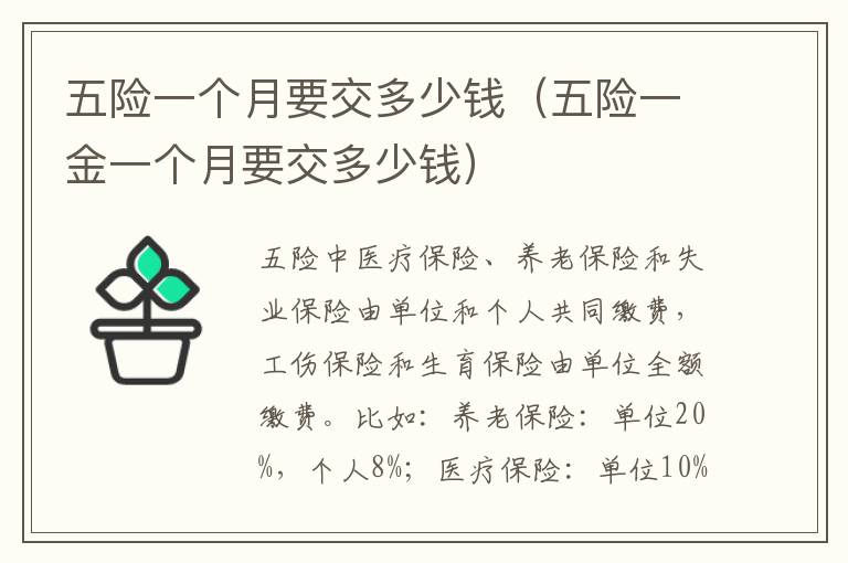 五险一个月要交多少钱（五险一金一个月要交多少钱）