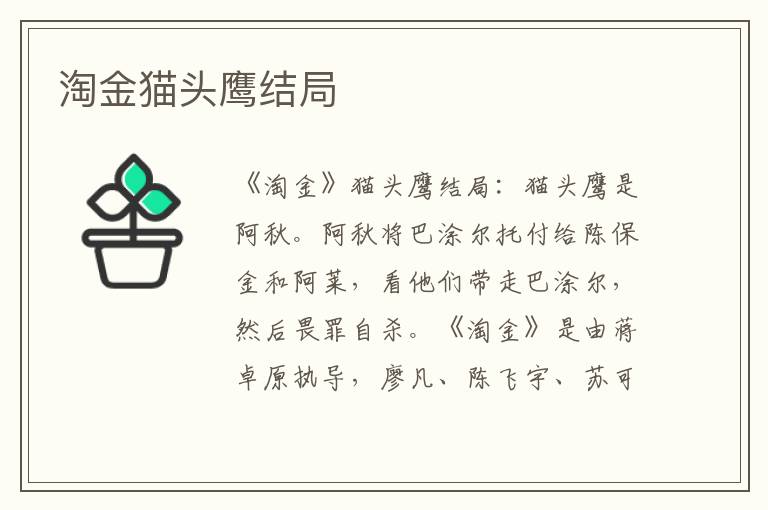 淘金猫头鹰结局