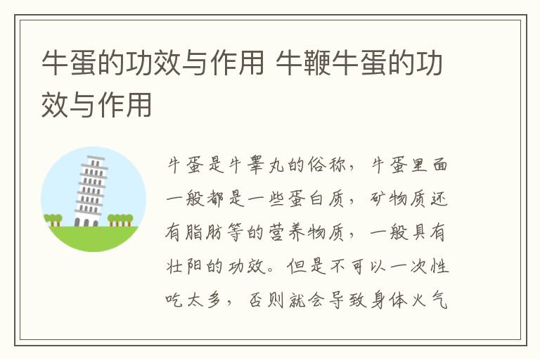 牛蛋的功效与作用 牛鞭牛蛋的功效与作用