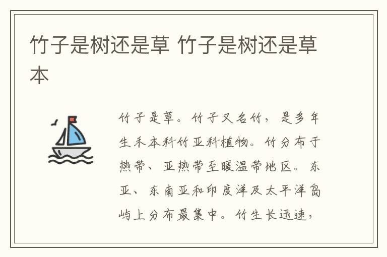 竹子是树还是草 竹子是树还是草本