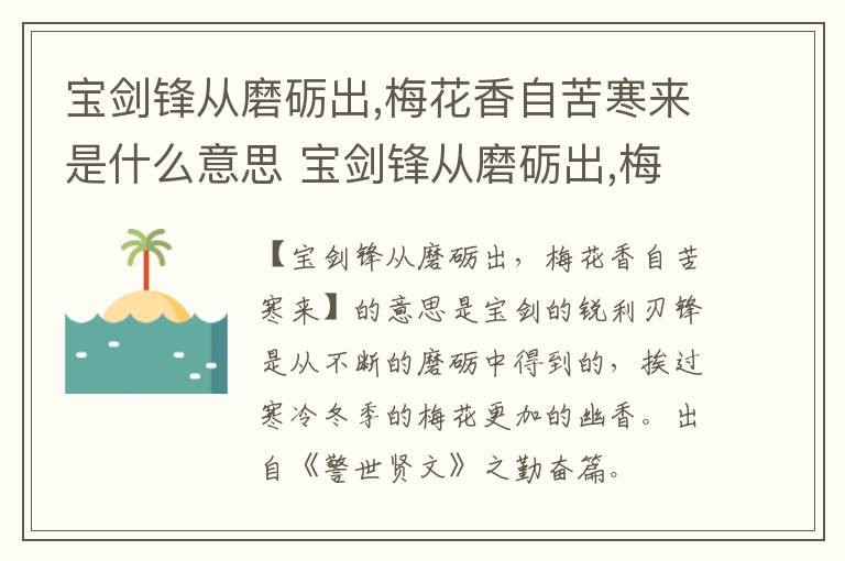 宝剑锋从磨砺出,梅花香自苦寒来是什么意思 宝剑锋从磨砺出,梅花香自苦寒来的含义