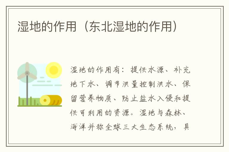 湿地的作用（东北湿地的作用）