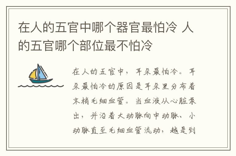在人的五官中哪个器官最怕冷 人的五官哪个部位最不怕冷