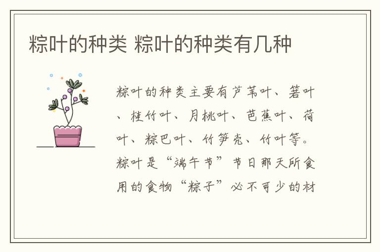 粽叶的种类 粽叶的种类有几种